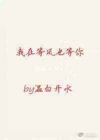 我在等風也等你