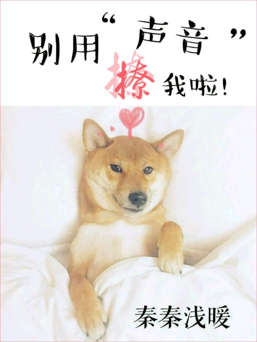 別用聲音撩我啦