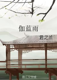 伽藍雨