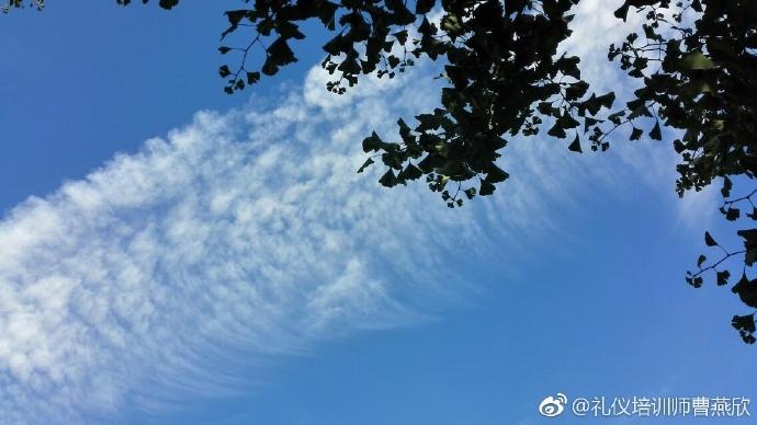 咨詢師-雲去雲來