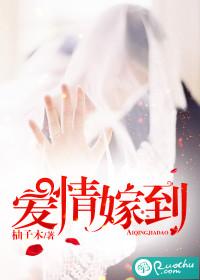愛情嫁到