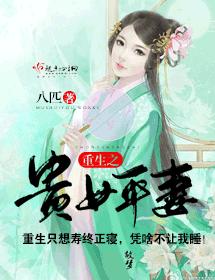 重生之貴女平妻