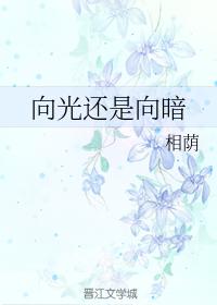 向光還是向暗