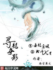 尋龍奪影之聖龍鸾鳳和北鬥七星
