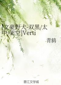 [文豪野犬-雙黑太中架空]Vertigo