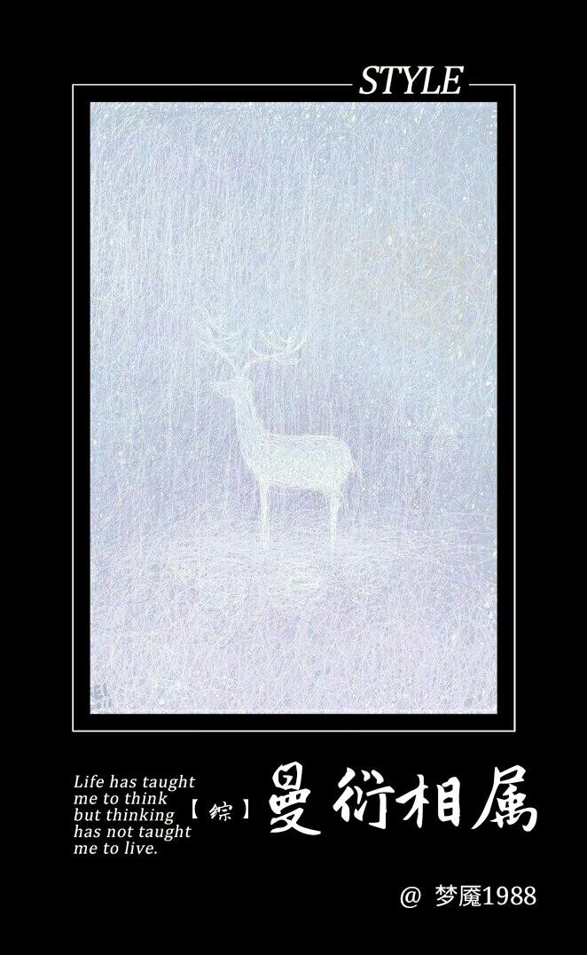 綜影視曼衍相屬