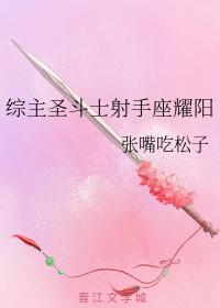 綜主聖鬥士射手座耀陽