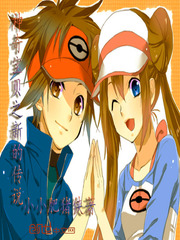 神奇寶貝之新的傳說