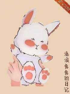 流浪兔兔的日記
