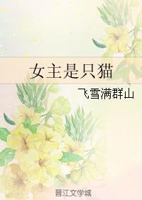 女主是只貓