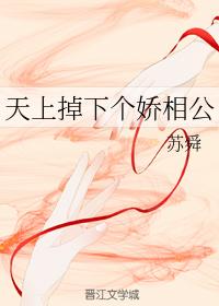 天上掉下個嬌相公