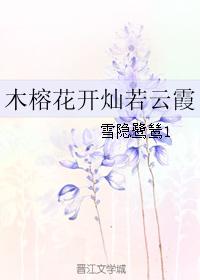木榕花開燦若雲霞