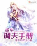 重生調夫手冊