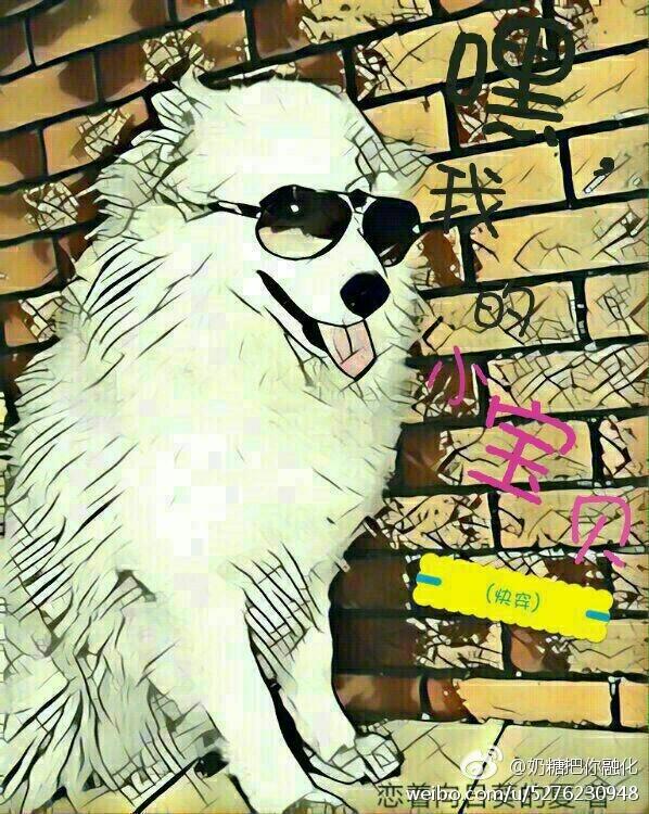 (修仙) 嘿，我的小寶貝