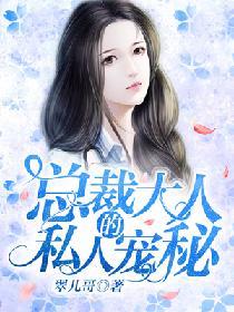 總裁大人的私人寵秘