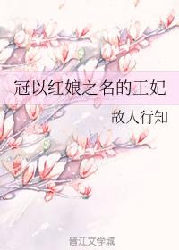 冠以紅娘之名的王妃