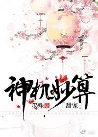 神機妙算（甜寵）