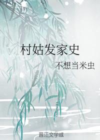 村姑發家史