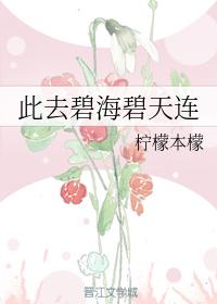 此去碧海碧天連