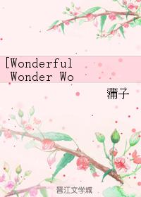 [Wonderful Wonder World]離去之原
