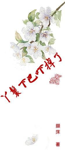 丫鬟下巴吓掉了