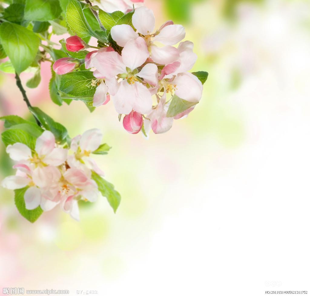 首席化妝師升職記