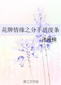 花牌情緣之分手進度條