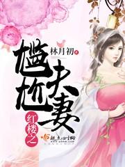 紅樓之尴尬夫妻