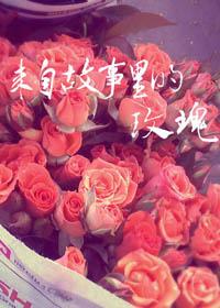 來自故事裏的玫瑰