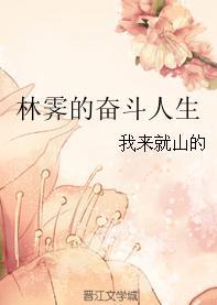 林霁的奮鬥人生