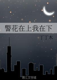 警花在上我在下