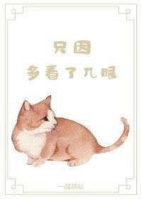 只因多看了幾眼