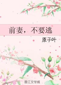 前妻，不要逃