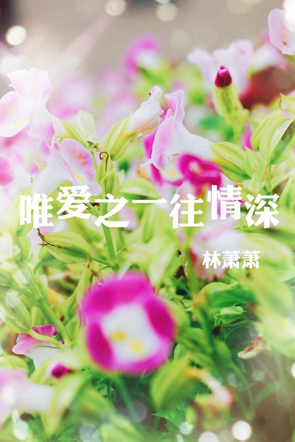 唯愛之一往情深