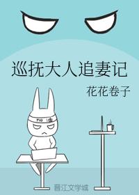 巡撫大人追妻記