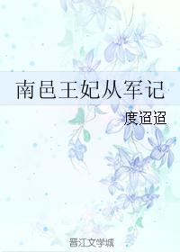 南邑王妃從軍記