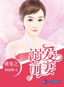 盛寵之溺愛前妻