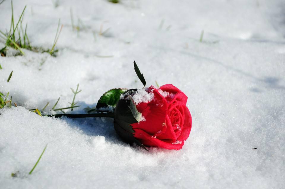 新世界的新事件