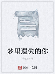 夢裏遺失的你