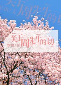 關于周先生的一切