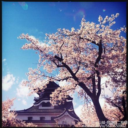 [刀劍亂舞]鷺洲砥灣飲江石