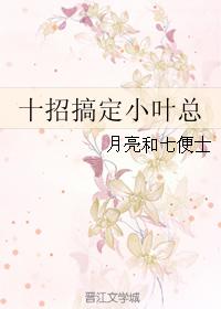 十招搞定小葉總