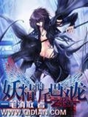 妖精的尾巴風龍之夜一