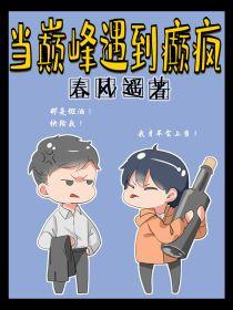 當巅峰遇到巅瘋[快穿]