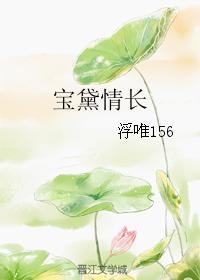 寶黛情長