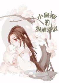 小皇帝的艱難愛情