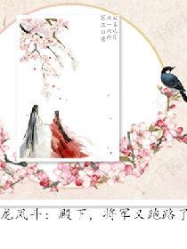 龍鳳鬥：殿下，将軍又跑路了