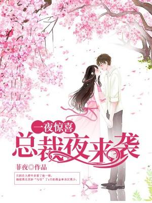 一夜驚喜：總裁夜來襲