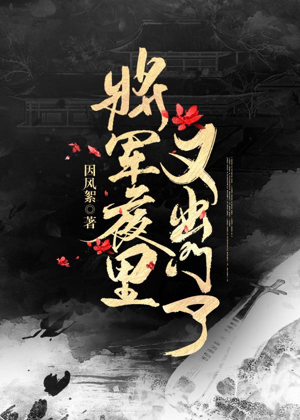 将軍夜裏又出門了