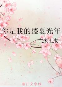 你是我的盛夏光年
